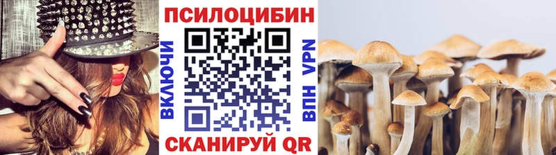 блэк спрут как войти  Кулебаки  Псилоцибиновые грибы Psilocybe 